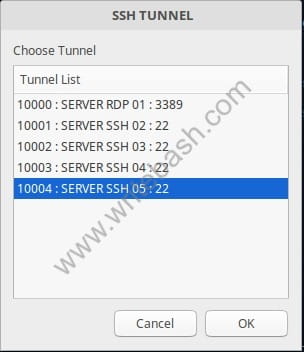 interface of ssh tunnel application